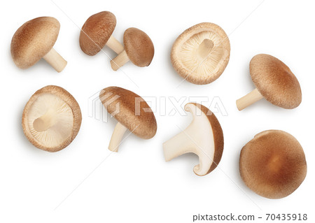 Fresh Shiitake mushroom isolated on white background with clipping path. Top view. Flat lay 70435918