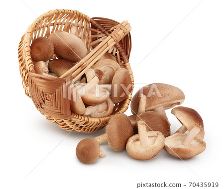Fresh Shiitake mushroom in a wicker basket isolated on white background with clipping path and full depth of field. 70435919