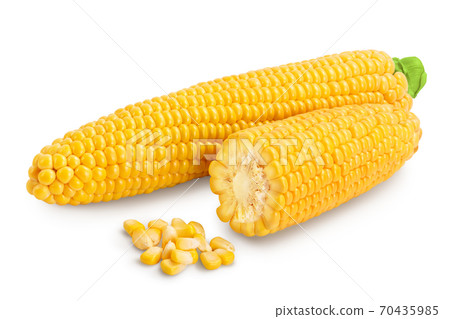 ear of corn isolated on a white background. Clipping path and full depth of field ear of corn isolated on a white background. Clipping path and full depth of field 70435985