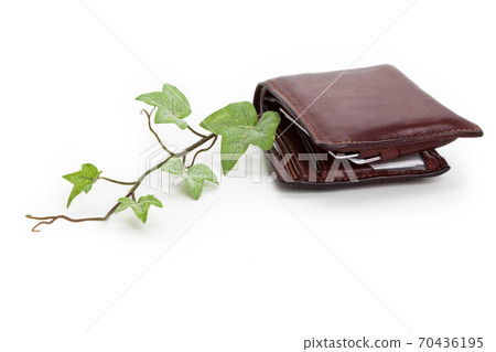 Wallet and plant 70436195