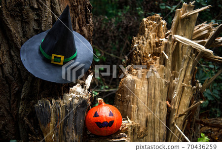Jack Lantern pumpkin on wooden background with witch hat . Jack Lantern pumpkin on wooden background with witch hat . 70436259