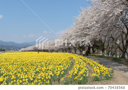 群馬縣東吾妻町春季岩井水上樂園 群馬縣東吾妻町春季岩井水上樂園 70438568