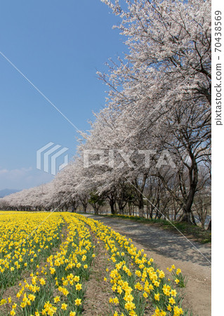 群馬縣東吾妻町春季岩井水上樂園 群馬縣東吾妻町春季岩井水上樂園 70438569