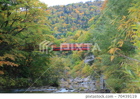 札幌市Sadayama Valley的秋葉 札幌市Sadayama Valley的秋葉 70439119