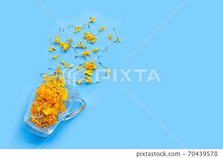 A glass cup with marigold flower petals on blue background. Flower herbal tea concept. A glass cup with marigold flower petals on blue background. Flower herbal tea concept. 70439578