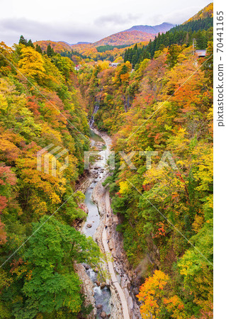 秋田湯澤,秋天的顏色,大矢京的秋天,從河谷大橋看 秋田湯澤,秋天的顏色,大矢京的秋天,從河谷大橋看 70441165
