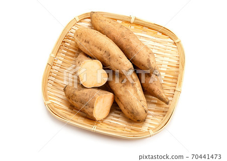 薩摩馬鈴薯馬龍金 70441473