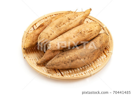 薩摩馬鈴薯馬龍金 70441485