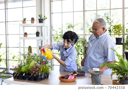 Asian grandfather and his grandson spent time together in the garden. 70442338
