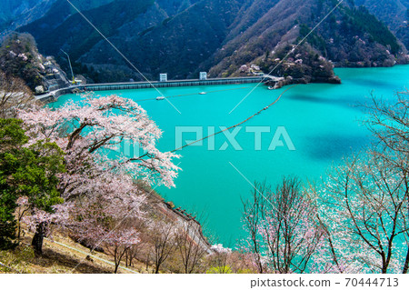 東京奧多摩町的Okochi大壩和湖濱櫻花(Miharashinooka的景色) 東京奧多摩町的Okochi大壩和湖濱櫻花(Miharashinooka的景色) 70444713