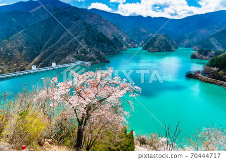 東京奧多摩町的Okochi大壩和湖濱櫻花(Miharashinooka的景色) 東京奧多摩町的Okochi大壩和湖濱櫻花(Miharashinooka的景色) 70444717