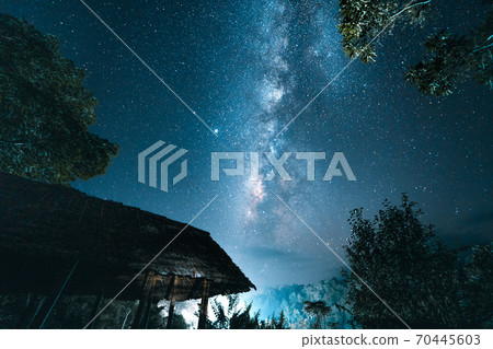Milky way and night stars in the fields 70445603