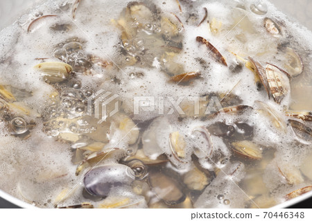 Boil the clams in a pot Boil the clams in a pot 70446348