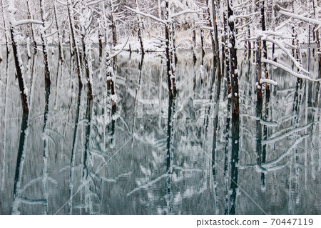 Blue pond in winter Biei Blue pond in winter Biei 70447119