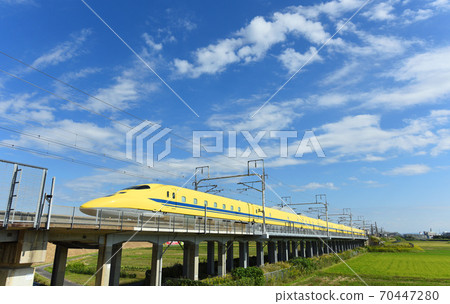 D. Yellow running through Kariya city D. Yellow running through Kariya city 70447280