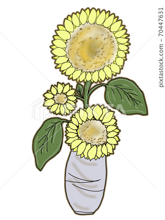 Sunflower in a vase 70447631