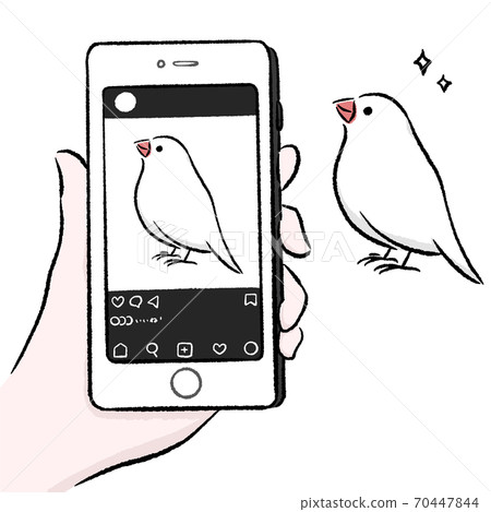上鏡文學鳥 上鏡文學鳥 70447844