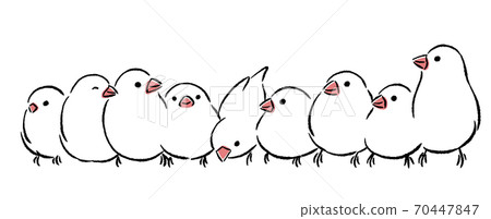 A lot of Java sparrows 70447847