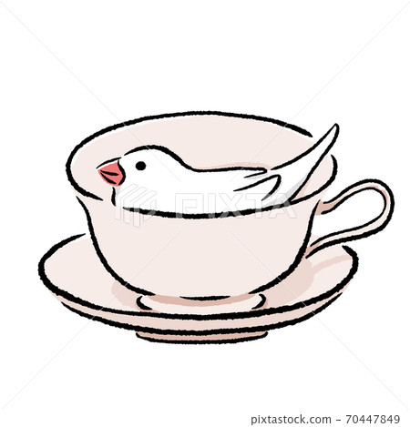 Java sparrow that the tea cup liked Java sparrow that the tea cup liked 70447849