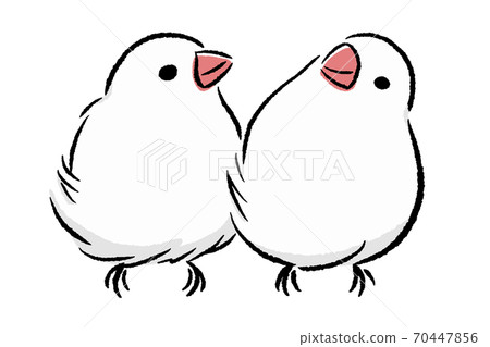 Nakayoshi Java sparrow Nakayoshi Java sparrow 70447856