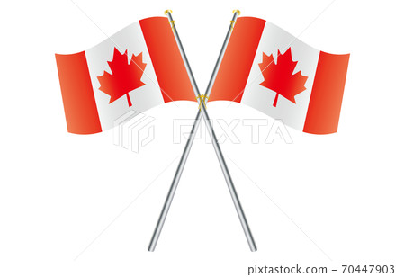 新世界標誌2：3 Ver Gradient Wave Pole Cross加拿大 70447903