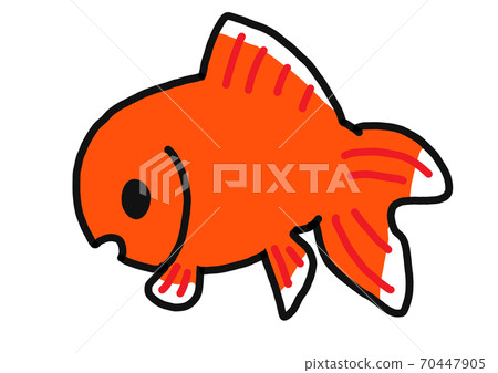 可愛的插圖紅色金魚 70447905