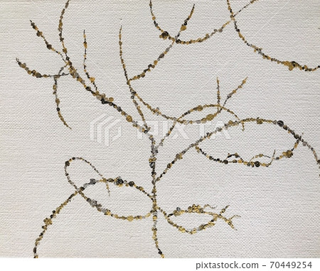 金銀樹 金銀樹 70449254