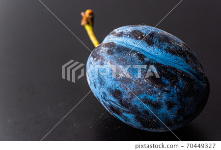 Close up of one plum fruit with copy space 70449327