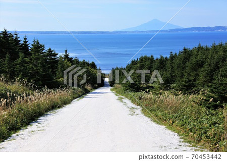 Path of White Shells (Wakkanai City, Hokkaido, Soya Hills) Path of White Shells (Wakkanai City, Hokkaido, Soya Hills) 70453442