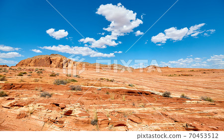 Sandstone formations in Valley of Fire State Park, Nevada, USA. 70453512