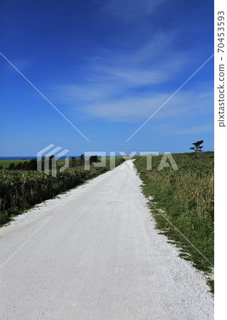 Path of White Shells (Wakkanai City, Hokkaido, Soya Hills) Path of White Shells (Wakkanai City, Hokkaido, Soya Hills) 70453593