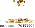 Falling gold coins money isolated on the white background, business concept. 70453904