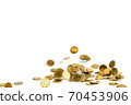 Falling gold coins money isolated on the white background, business concept. 70453906