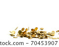 Falling gold coins money isolated on the white background, business concept. 70453907