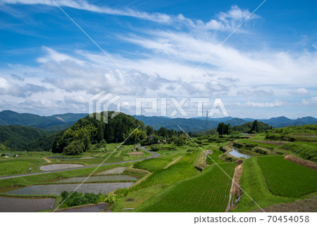 Immediately after planting rice in Sannoji, Daito-cho, Unnan City, Shimane Prefecture (June 2020) Immediately after planting rice in Sannoji, Daito-cho, Unnan City, Shimane Prefecture (June 2020) 70454058