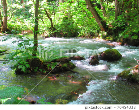 奧入瀨 70454338