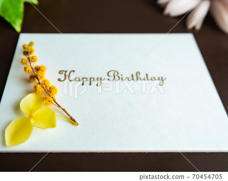 生日賀卡含羞草繡球花非洲菊常春藤 生日賀卡含羞草繡球花非洲菊常春藤 70454705
