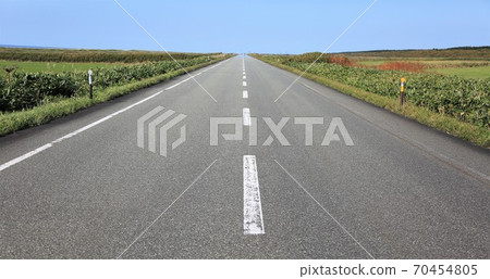 Sarobetsu Wild Road（106號公路） 70454805