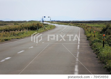 Sarobetsu Wild Road(106號公路) Sarobetsu Wild Road(106號公路) 70454950