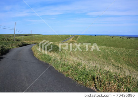 Soya Hills (Cape Soya, Wakkanai City, Hokkaido) 70456090