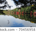 白色葉子池塘和秋葉 70456958