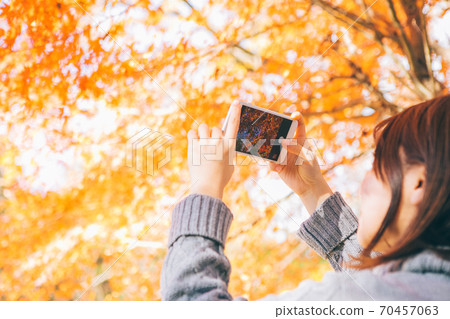 拍攝與智能手機的女性手秋葉 拍攝與智能手機的女性手秋葉 70457063