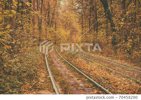 Rails in the forest 70458200