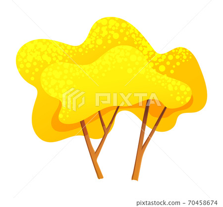 Yellow bright autumn tree with a lush crown, thin brown trunk and branches isolated on white 70458674