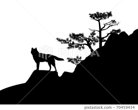 wild wolf and pine tree black vector silhouette scene 70459434
