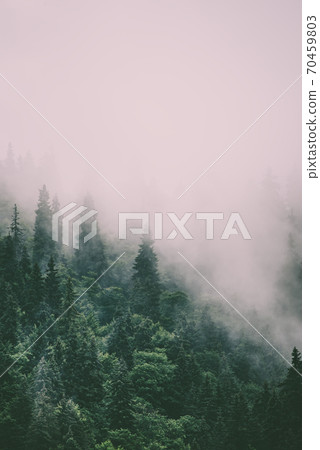 Misty mountain landscape Misty mountain landscape 70459803