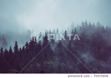 Misty mountain landscape Misty mountain landscape 70459806