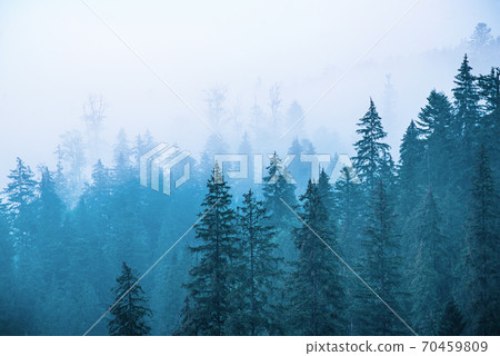 Misty mountain landscape Misty mountain landscape 70459809