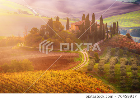 Sunrise in Italy Sunrise in Italy 70459917