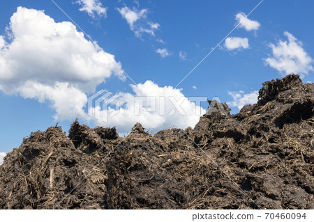 Manure Manure 70460094